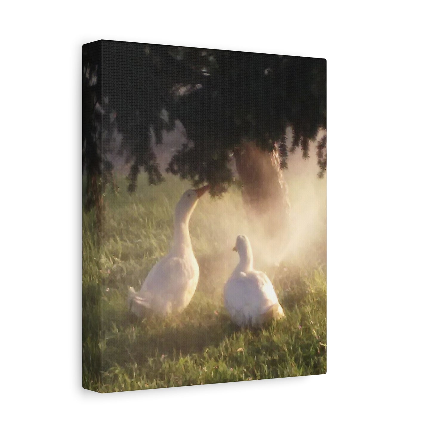 Pekin Duck Print, Matte Stretched 1 25 Inch, Home Decor, Animal Lover Gift, Farmhouse Artwork, Duck Lover
