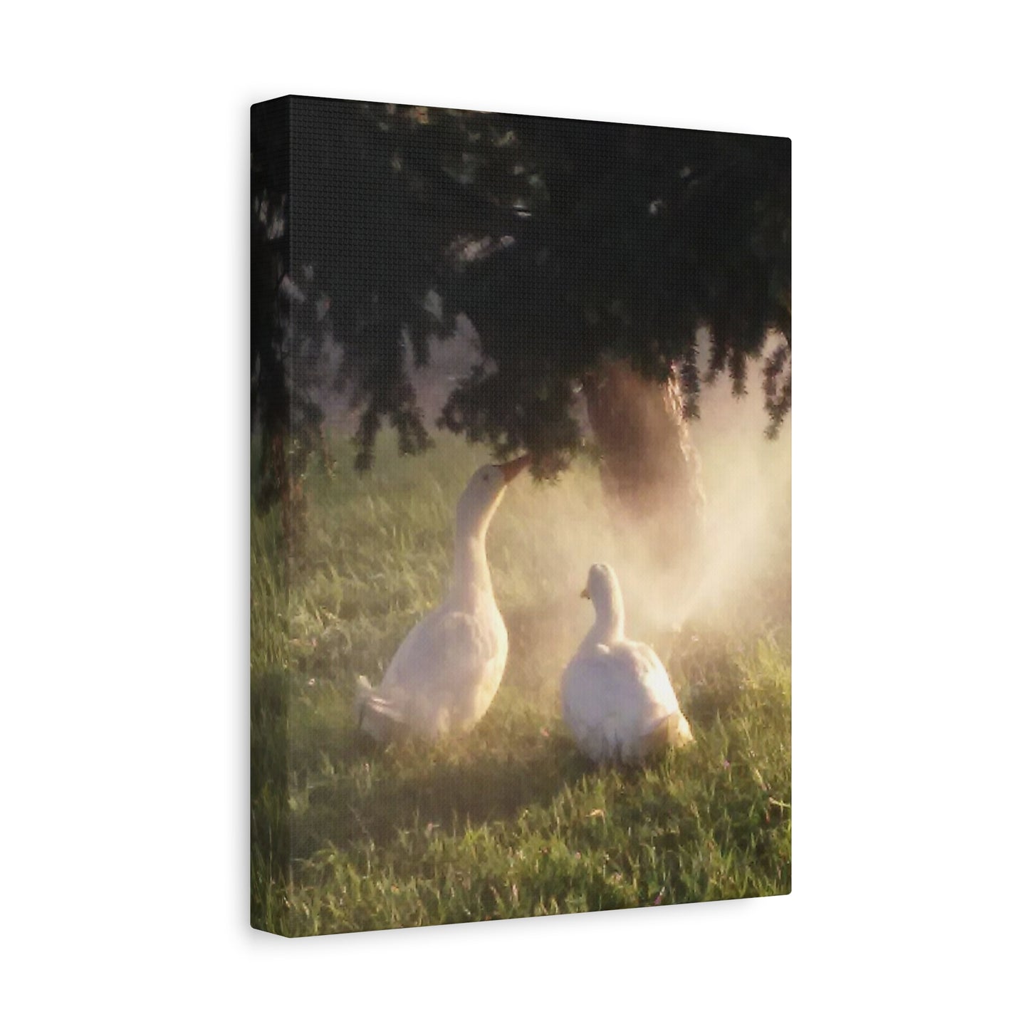 Pekin Duck Print, Matte Stretched 1 25 Inch, Home Decor, Animal Lover Gift, Farmhouse Artwork, Duck Lover