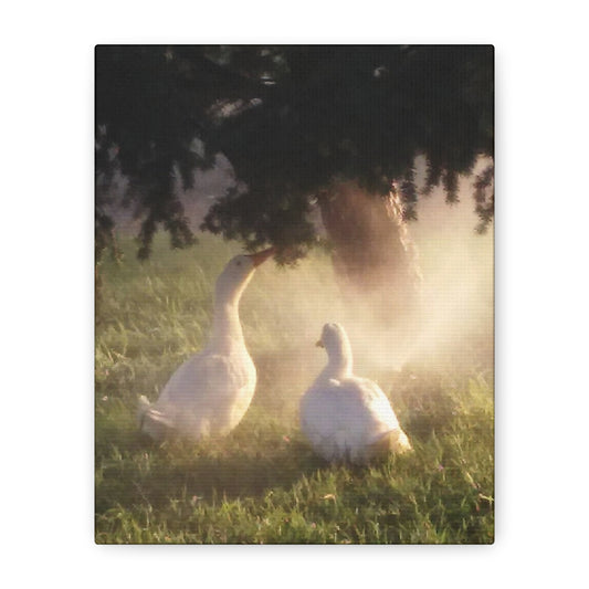 Pekin Duck Print, Matte Stretched 1 25 Inch, Home Decor, Animal Lover Gift, Farmhouse Artwork, Duck Lover
